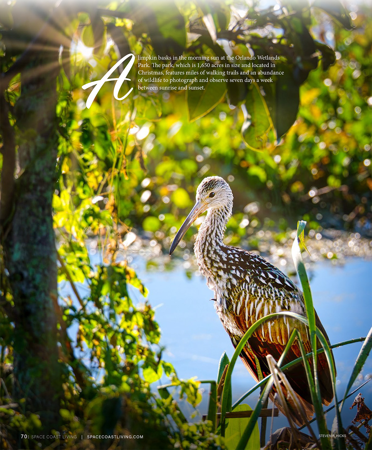 last-look-holiday-2022-space-coast-living-magazine