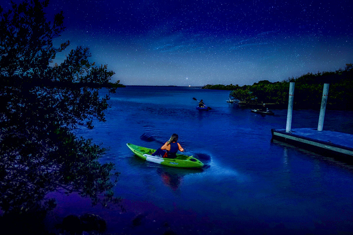 bioluminescence beneath and around a kayak