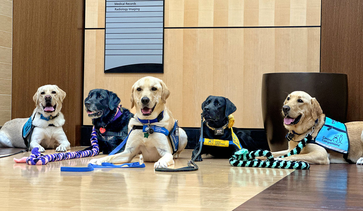 Health First facility dog Jammer, front and center, takes a doggie break with, from left, therapy dogs Vista VI and Parsley, service-pup-in-training Wallie and therapy dog Kenji.