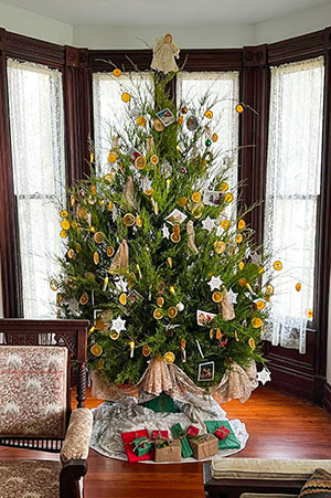 A fresh cut cedar or native pine Christmas Tree 