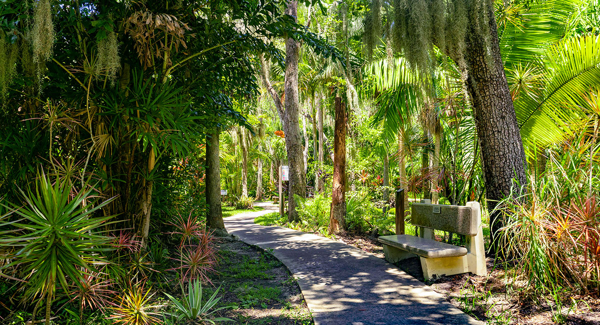 A network of trails meander through the Joy and Gordon Patterson Botanical Garden at Florida Tech. There is no need to rush here.