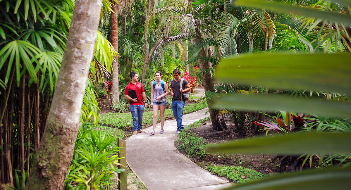 Cutting through The Jungle, as Florida Institute of Technology students call the school’s unusual botanical garden, makes for an interesting way to get to class.