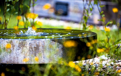 Water features add serenity to the botanical garden where professor — and garden advocate — Dr. Gordon Patterson prefers to hold office hours to entice students to enjoy the outdoors. 
