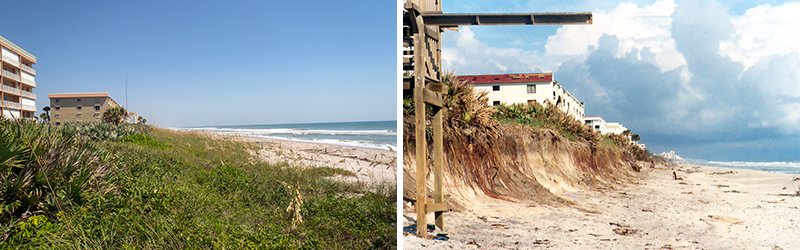 Wild waves leaving a cliff behind on this Brevard County beach. The same beach is shown on the right after restoration. 