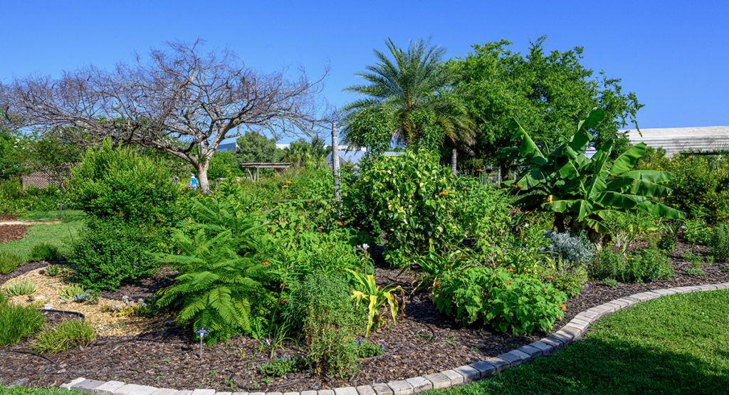 Hidden gem - Space Coast Living Magazine